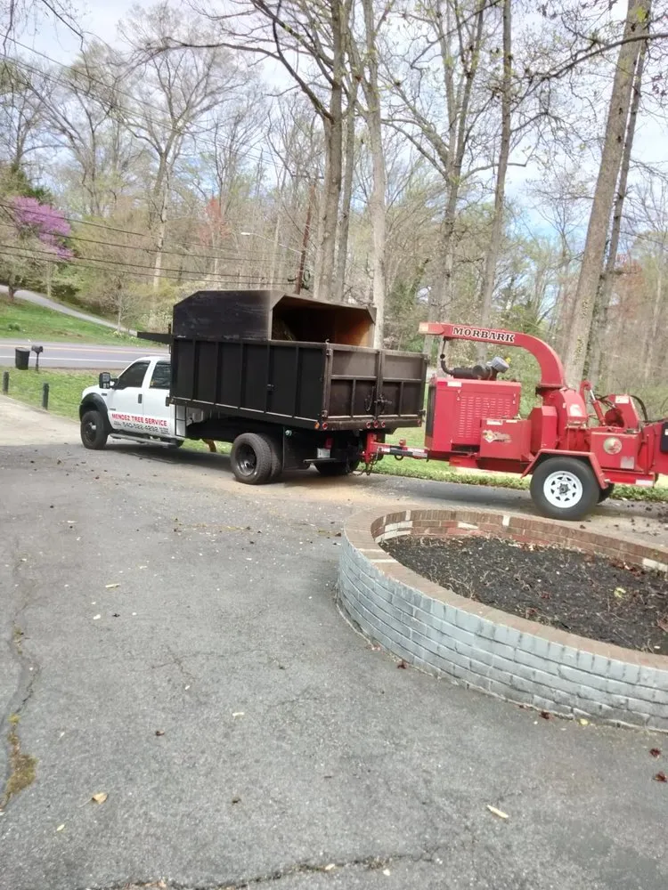 Reliable residential landscaping with custom design across Locust Grove, VA - Mendez Tree Service and Landscaping