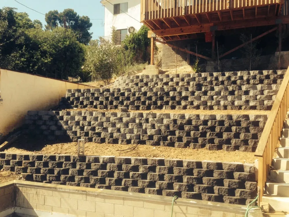 Local yard cleanup service in Los Angeles, CA by Mendez Tree Service and Landscaping