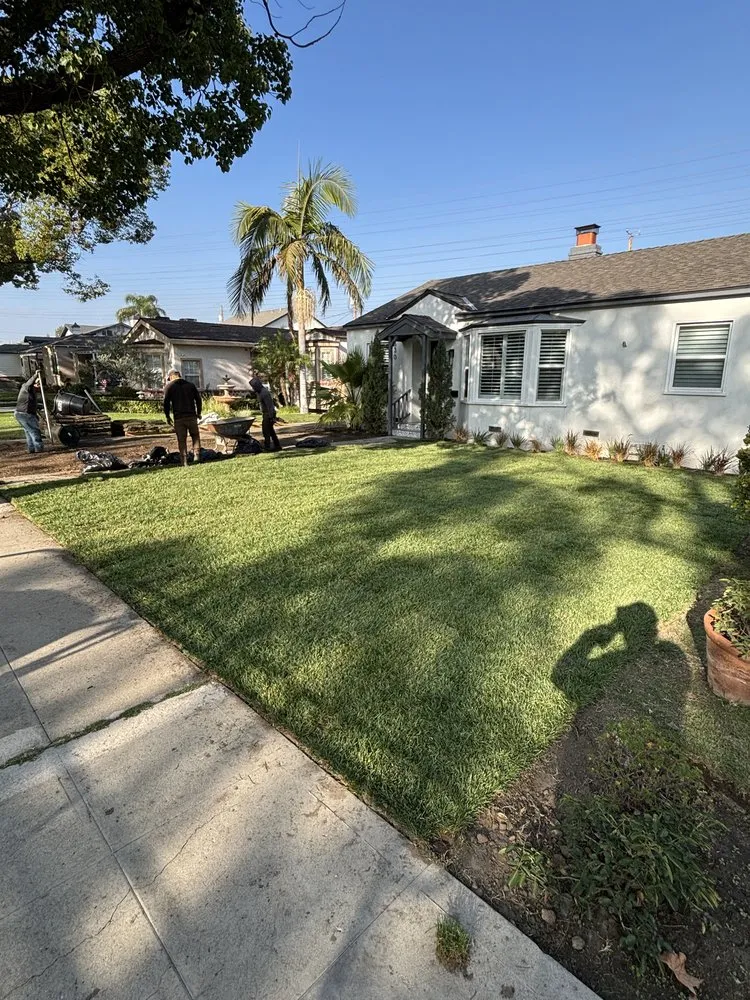 Custom yard maintenance for homes across Santa Clarita, CA - Mendez Tree Services