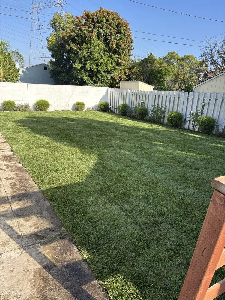 Custom lawn care service for beautiful yards across Santa Clarita, CA - Mendez Tree Services