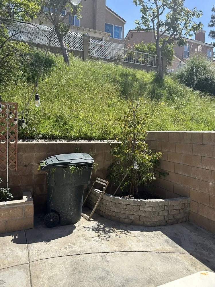 Expert yard cleanup service experts serving Santa Clarita, CA - Mendez Tree Services