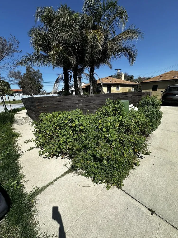 Affordable outdoor landscaping for beautiful yards across Santa Clarita, CA - Mendez Tree Services