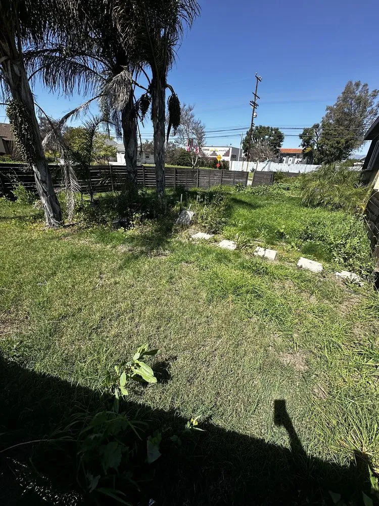 Professional outdoor landscaping for beautiful yards in Santa Clarita, CA by Mendez Tree Services