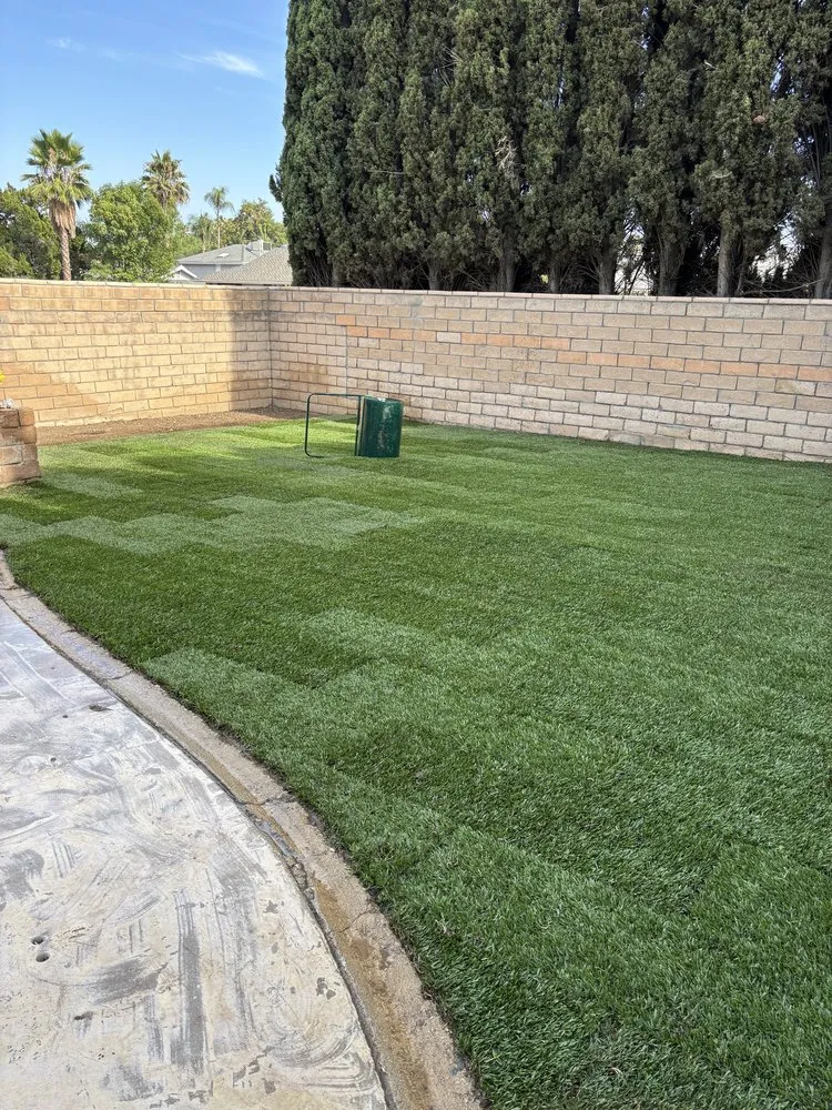 Trusted landscaping services experts serving Santa Clarita, CA - Mendez Tree Services