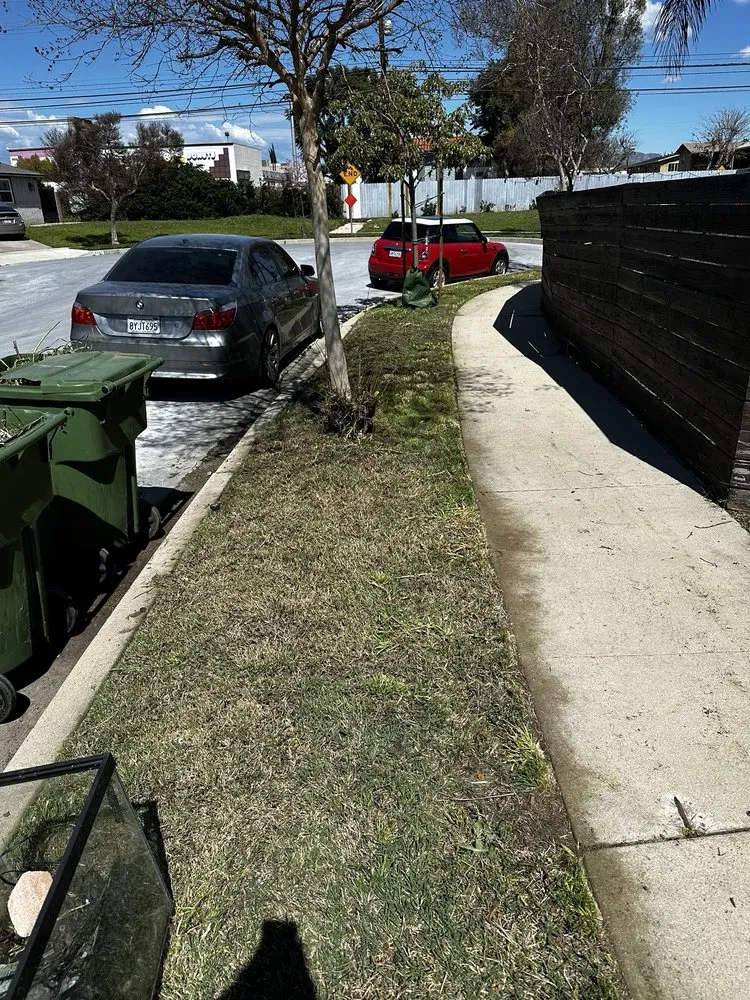 Expert garden landscaping for outdoor upgrades in Santa Clarita, CA by Mendez Tree Services