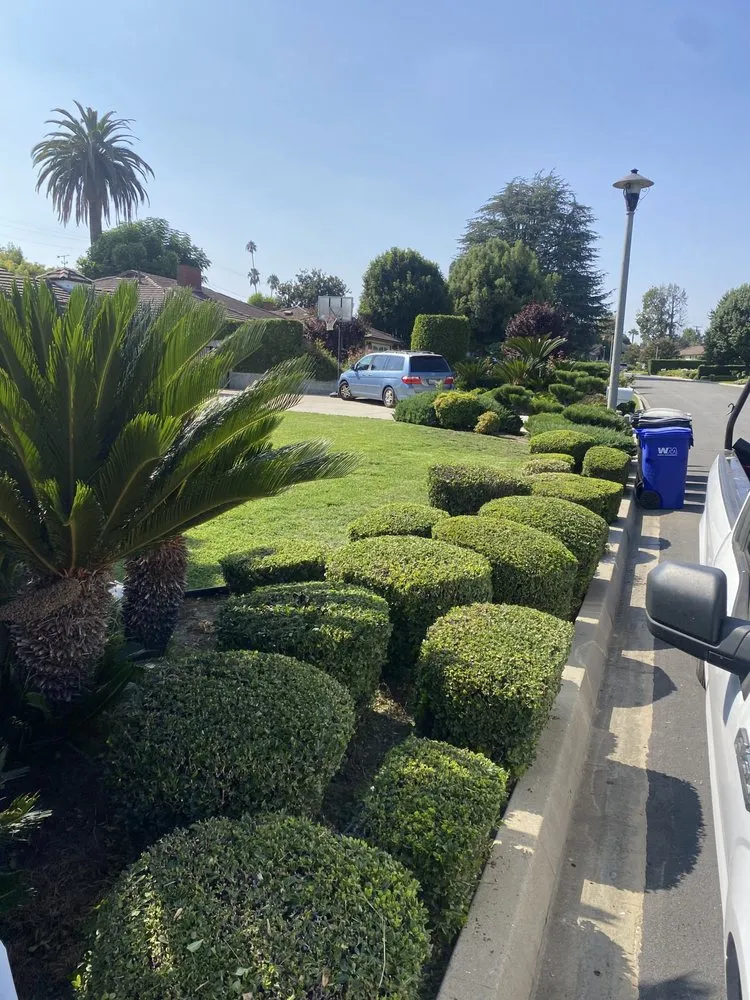 Local lawn care service for homes across Santa Clarita, CA - Mendez Tree Services