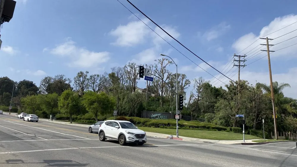 Trusted outdoor landscaping for beautiful yards in Santa Clarita, CA by Mendez Tree Services