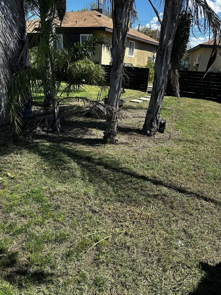 Top-rated landscape installation for year-round maintenance across Santa Clarita, CA - Mendez Tree Services