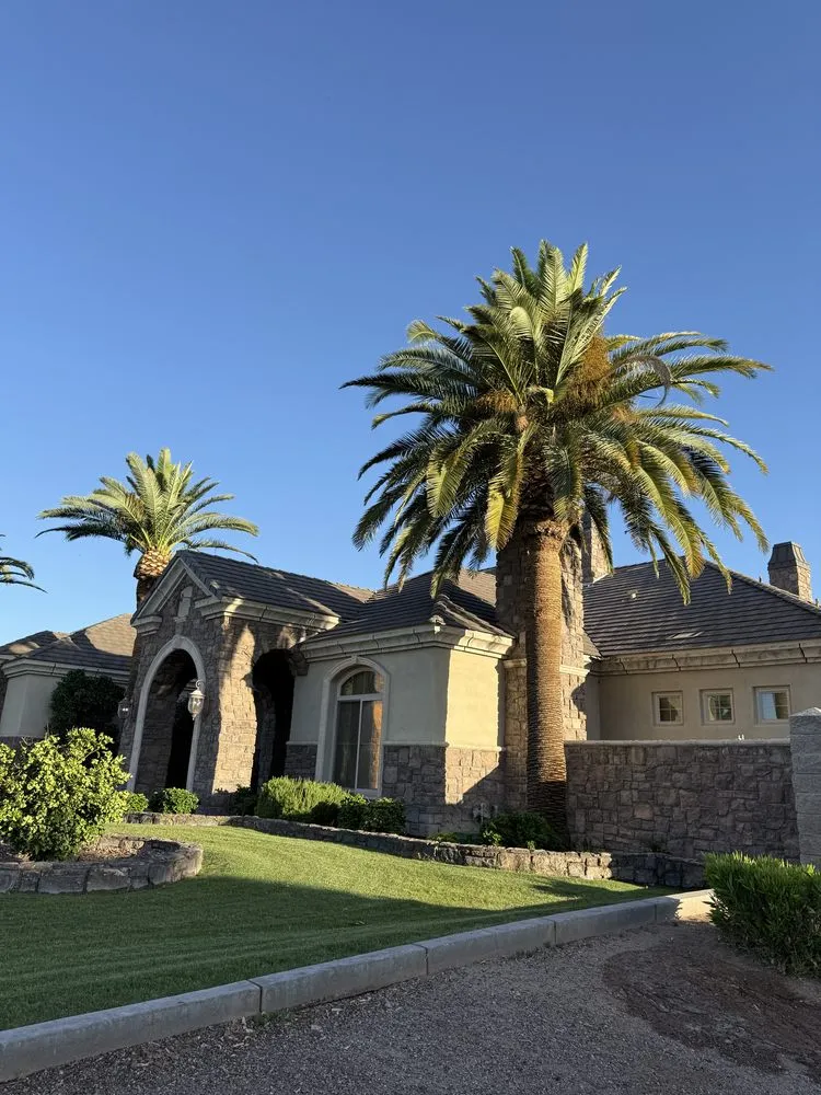 Expert lawn care service for residential properties in Mesa, AZ by Mendez Yard Cleaner And Landscaping