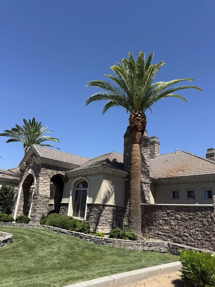 Trusted lawn mowing service for outdoor upgrades in Mesa, AZ by Mendez Yard Cleaner And Landscaping