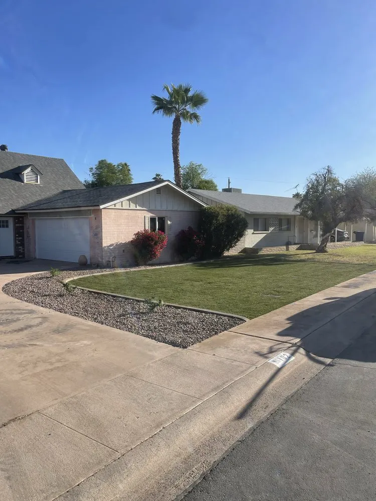 Professional landscape installation in Mesa, AZ - Mendez Yard Cleaner And Landscaping