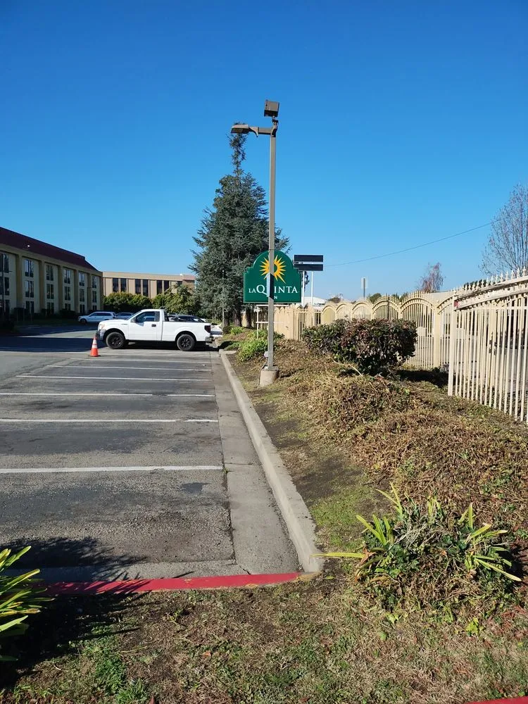 Reliable yard cleanup service in Suisun City, CA - Mendilla Landscape