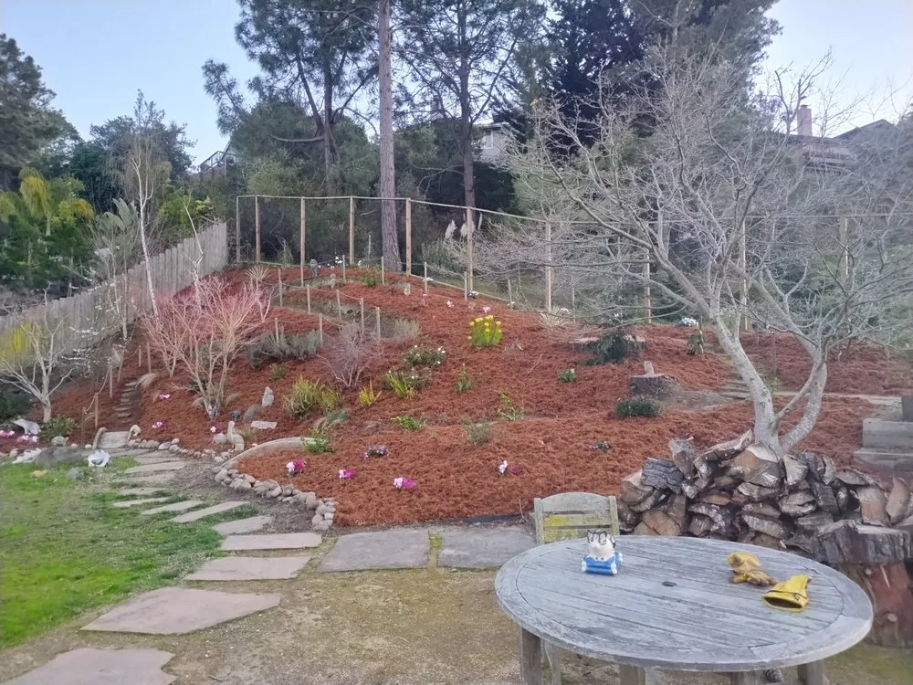 Trusted landscape design in Suisun City, CA by Mendilla Landscape