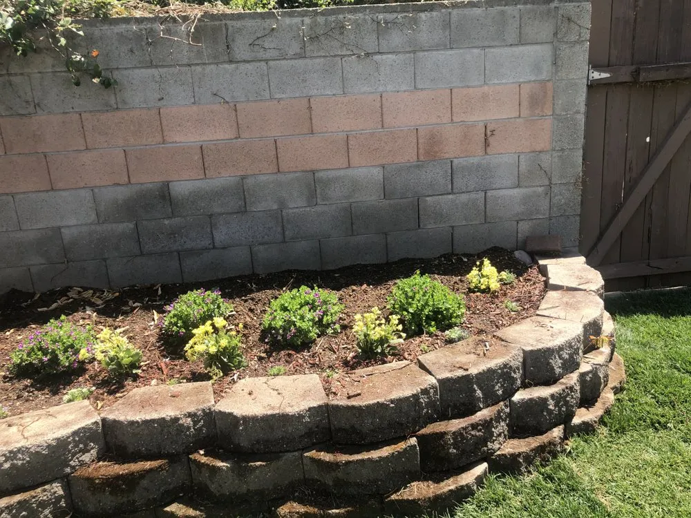 Top-rated residential landscaping experts serving Elk Grove, CA - Mendiola's Landscaping