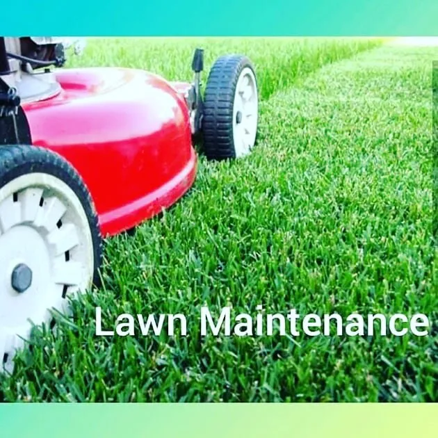 Top-rated landscape design for beautiful yards in Elk Grove, CA by Mendiola's Landscaping