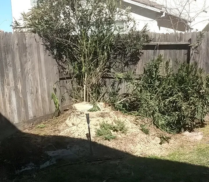 Affordable landscape installation experts serving Elk Grove, CA - Mendiola's Landscaping