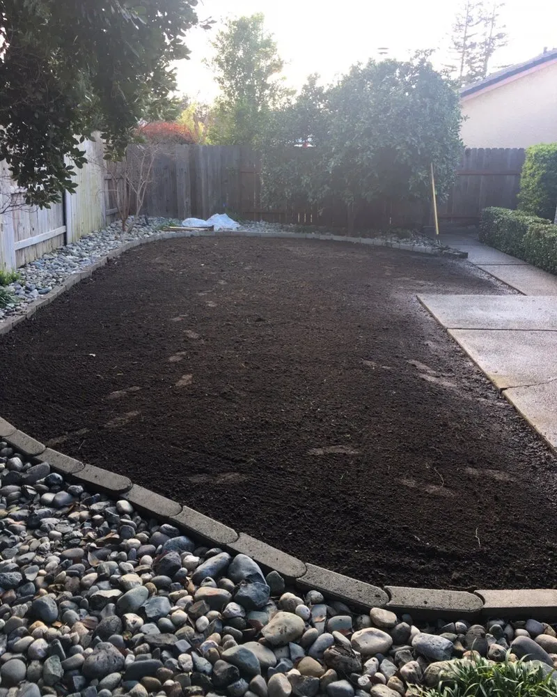 Affordable yard cleanup service near you across Elk Grove, CA - Mendiola's Landscaping