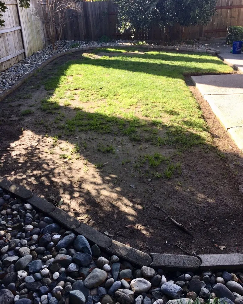 Top-rated garden landscaping in Elk Grove, CA by Mendiola's Landscaping