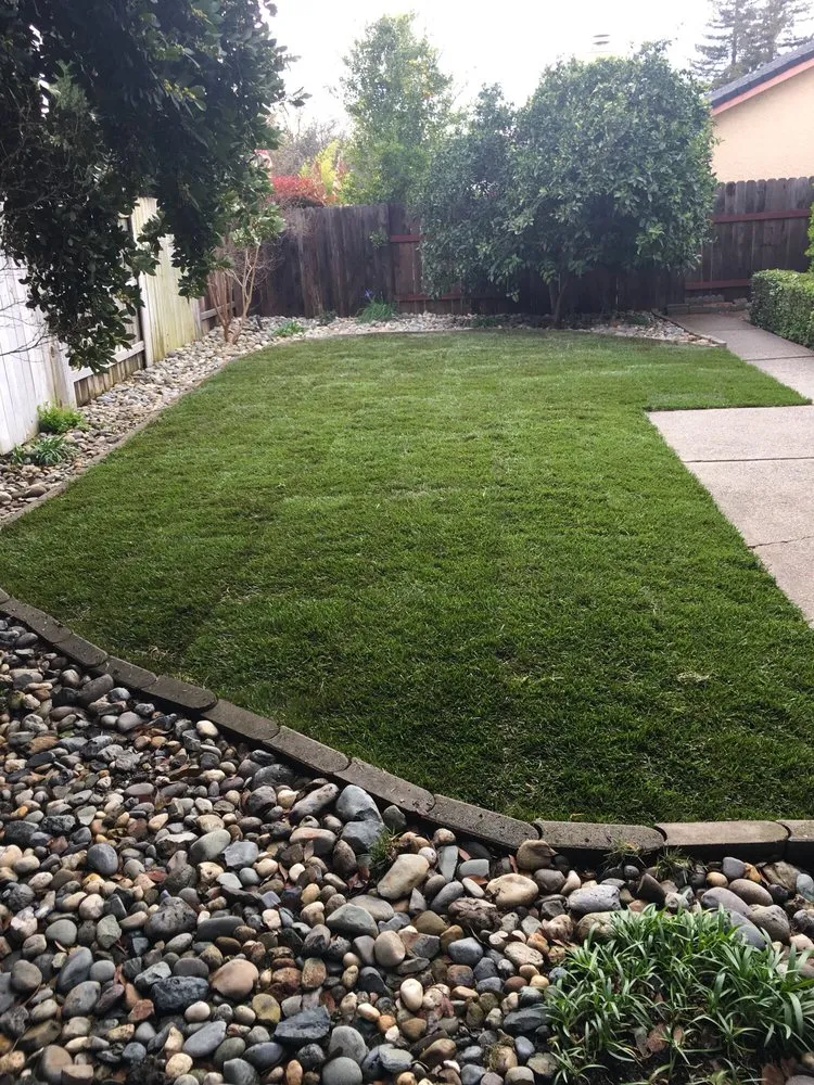 Trusted landscaping services for beautiful yards across Elk Grove, CA - Mendiola's Landscaping