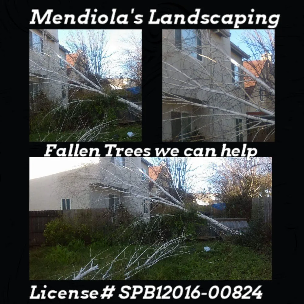 Professional yard cleanup service for residential properties across Elk Grove, CA - Mendiola's Landscaping