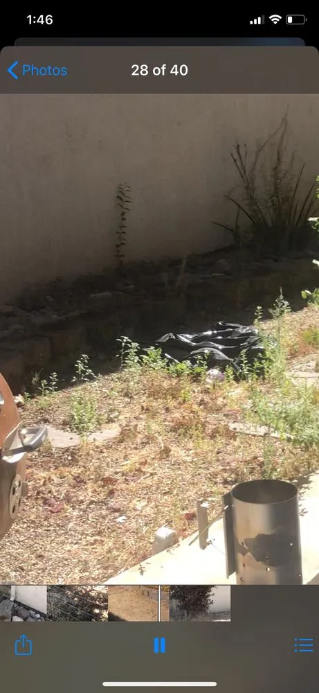 Affordable yard maintenance in Elk Grove, CA - Mendiola's Landscaping