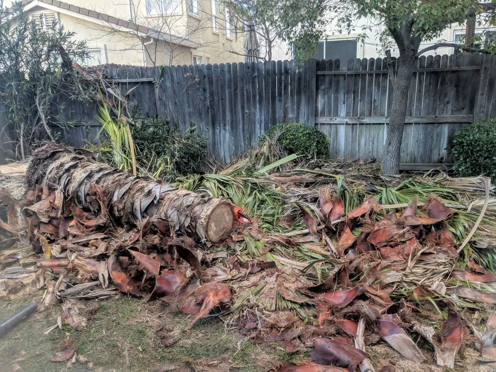 Top-rated residential landscaping in Elk Grove, CA by Mendiola's Landscaping