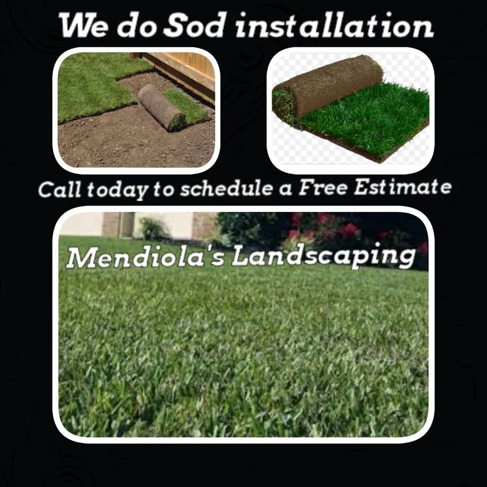 Reliable yard maintenance with custom design in Elk Grove, CA by Mendiola's Landscaping