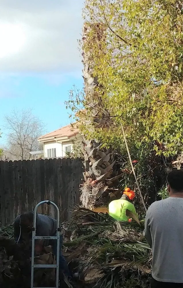 Local lawn mowing service in Elk Grove, CA by Mendiola's Landscaping