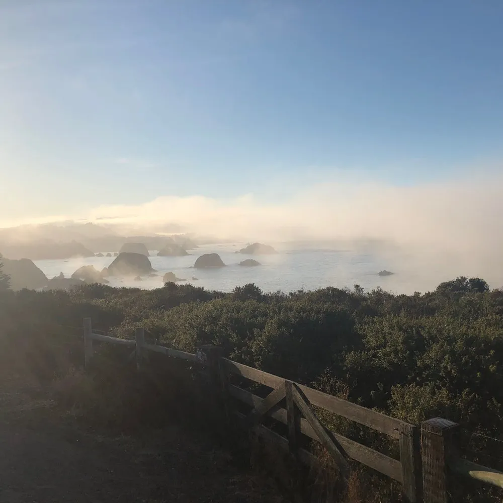 Local lawn mowing service in Mendocino, CA - Mendo Build