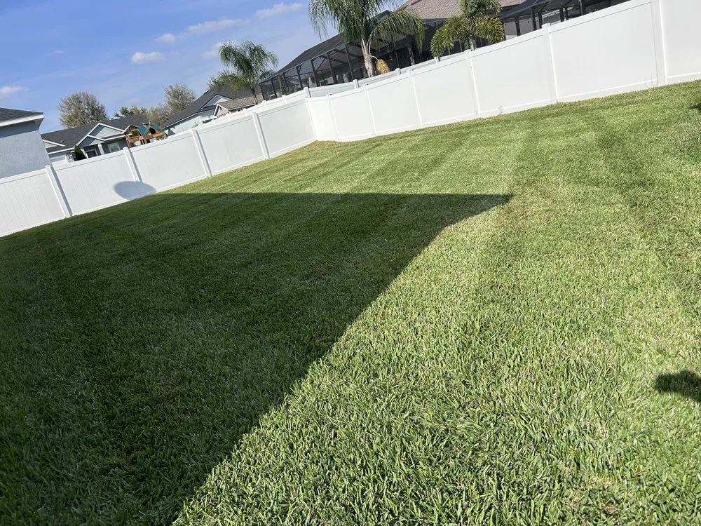 Expert residential landscaping experts serving Lakeland, FL - Mendo Zabladez