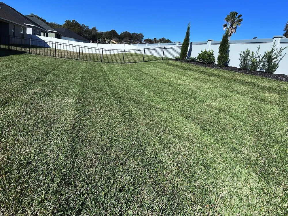 Local lawn care service for homes across Lakeland, FL - Mendo Zabladez