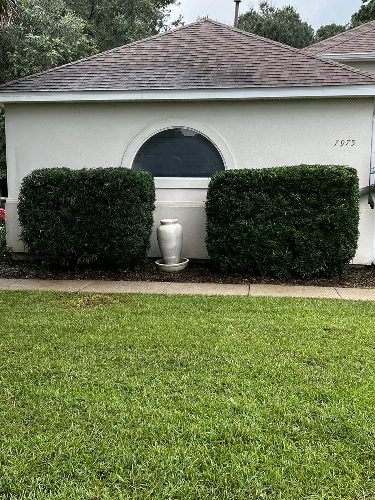 Reliable landscaping services experts serving Tallahassee, FL - Mendonca Lawn Care