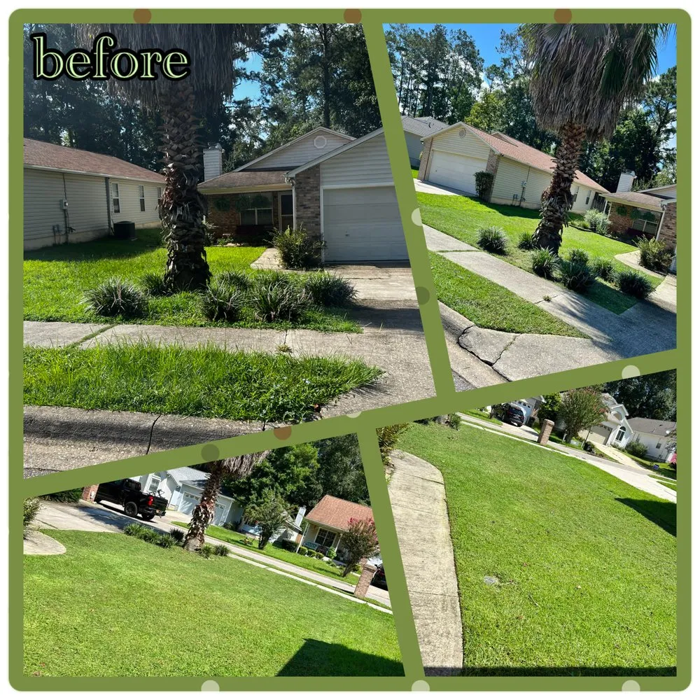Top-rated lawn care service in Tallahassee, FL by Mendonca Lawn Care