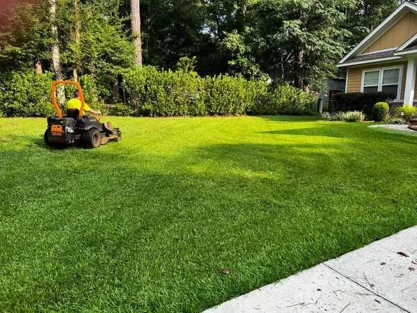 Affordable landscape design near you in Tallahassee, FL by Mendonca Lawn Care