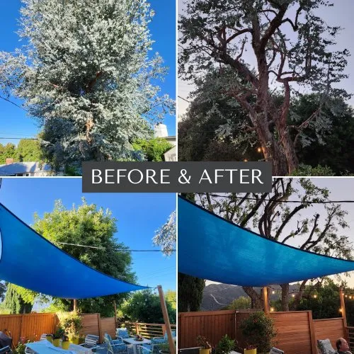 Professional landscaping services in Los Angeles, CA by Mendoza & Family Tree Service