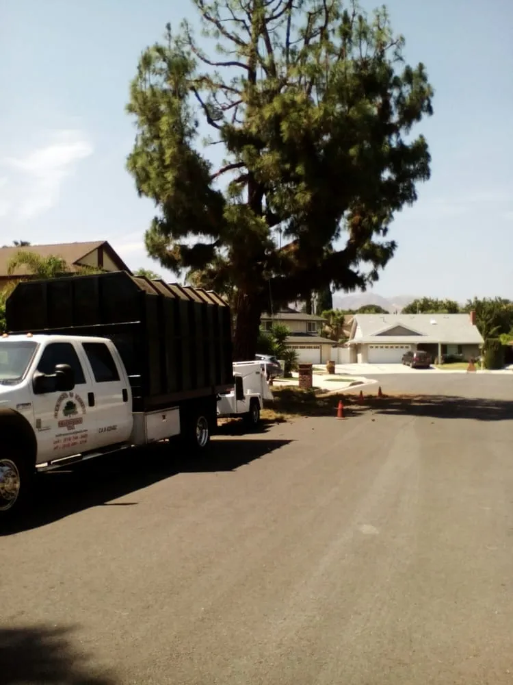 Affordable lawn mowing service for homes in Los Angeles, CA by Mendoza & Family Tree Service