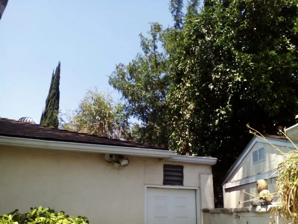 Affordable outdoor landscaping with custom design across Los Angeles, CA - Mendoza & Family Tree Service