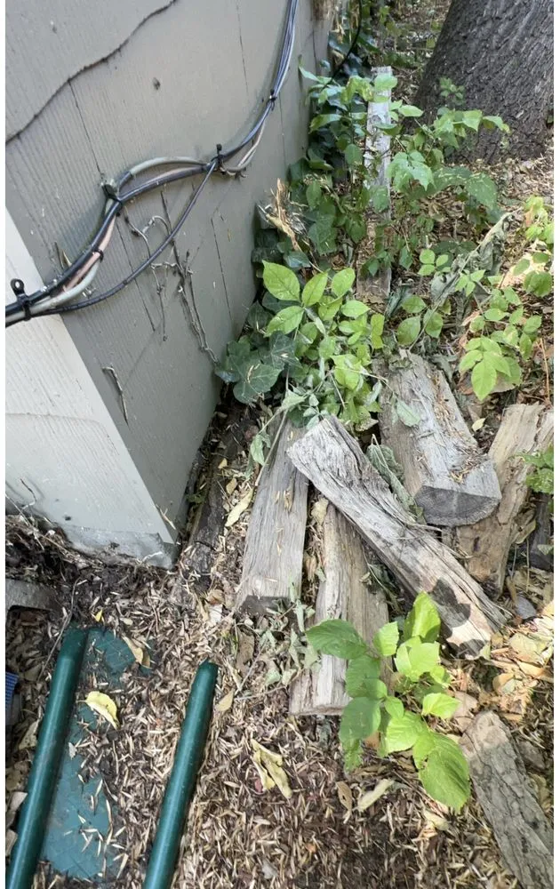 Affordable outdoor landscaping in Denver, CO - Mendoza & Sons