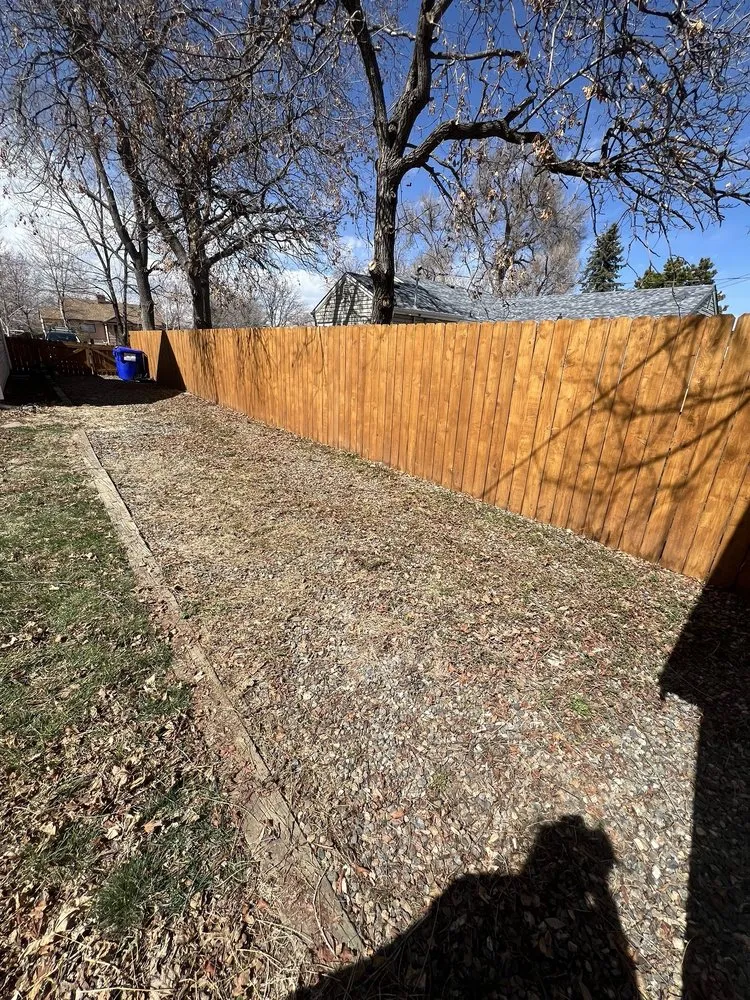 Custom yard maintenance experts serving Denver, CO - Mendoza & Sons