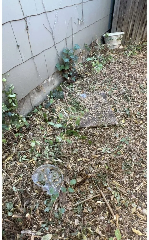 Affordable yard maintenance experts serving Denver, CO - Mendoza & Sons