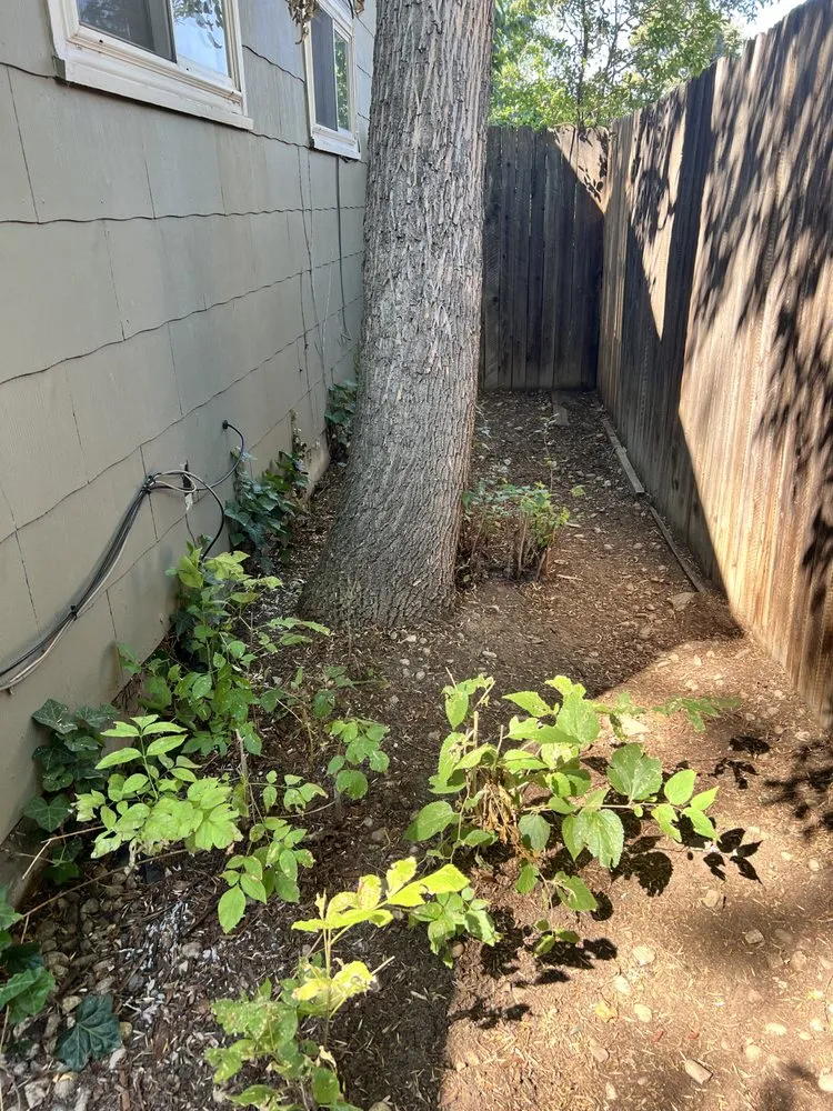 Local garden landscaping for residential properties across Denver, CO - Mendoza & Sons