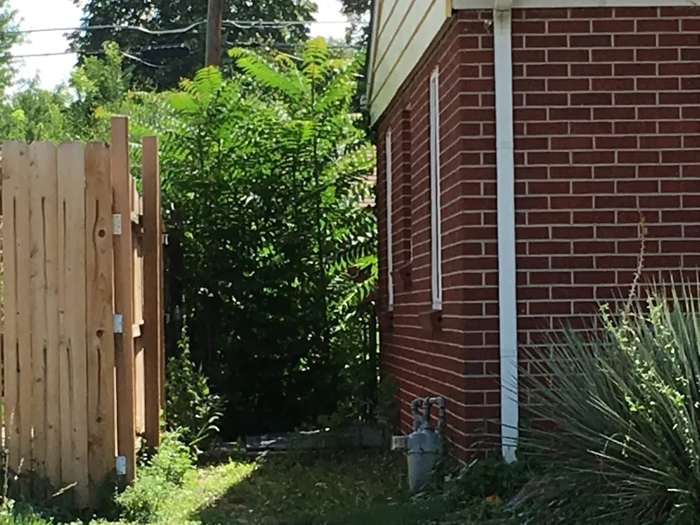 Professional lawn mowing service experts serving Denver, CO - Mendoza & Sons