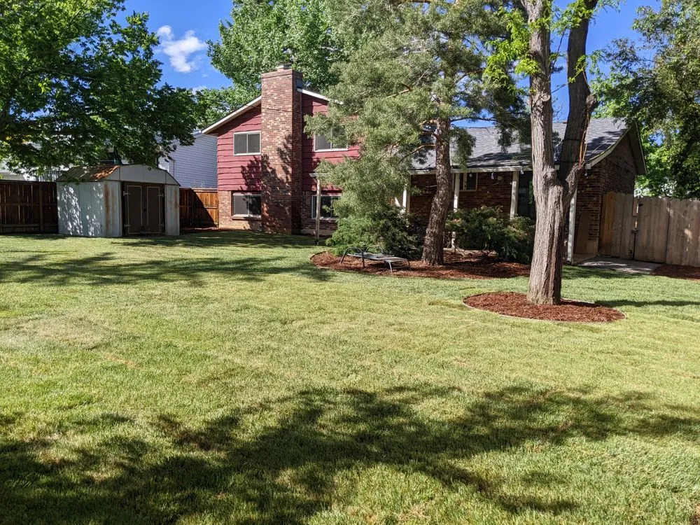 Professional yard maintenance for residential properties across Denver, CO - Mendoza & Sons