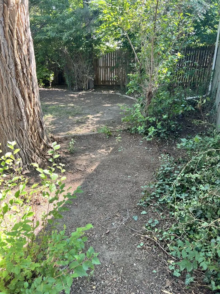 Custom residential landscaping in Denver, CO - Mendoza & Sons