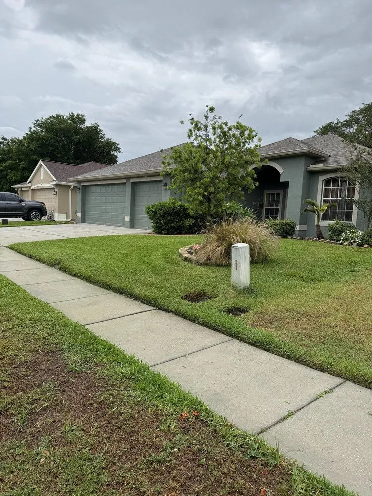 Affordable landscape installation in New Prt Rchy, FL - Mendoza Brothers Landscaping