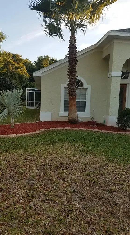 Expert landscape design for outdoor upgrades in New Prt Rchy, FL by Mendoza Brothers Landscaping