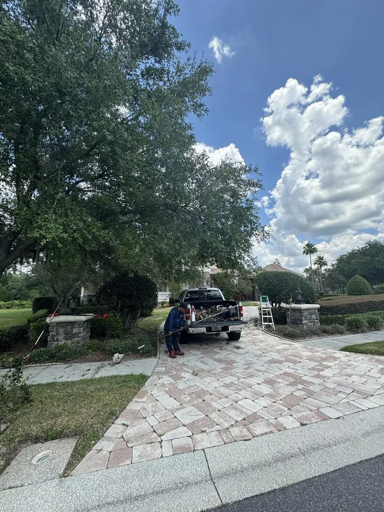 Professional landscaping services in New Prt Rchy, FL by Mendoza Brothers Landscaping