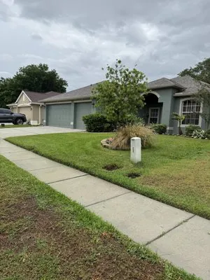 Mendoza Brothers Landscaping Logo