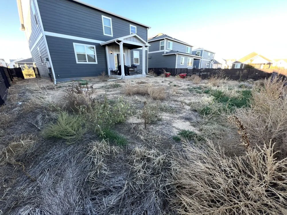 Trusted yard cleanup service near you in Watkins, CO by Mendoza Brother’s