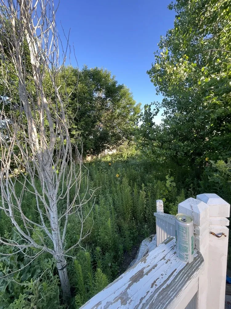 Trusted landscape design experts serving Watkins, CO - Mendoza Brother’s